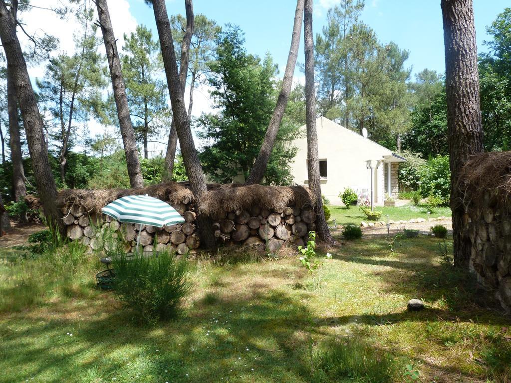 Gite De La Gree St Jean La Gacilly Exterior foto